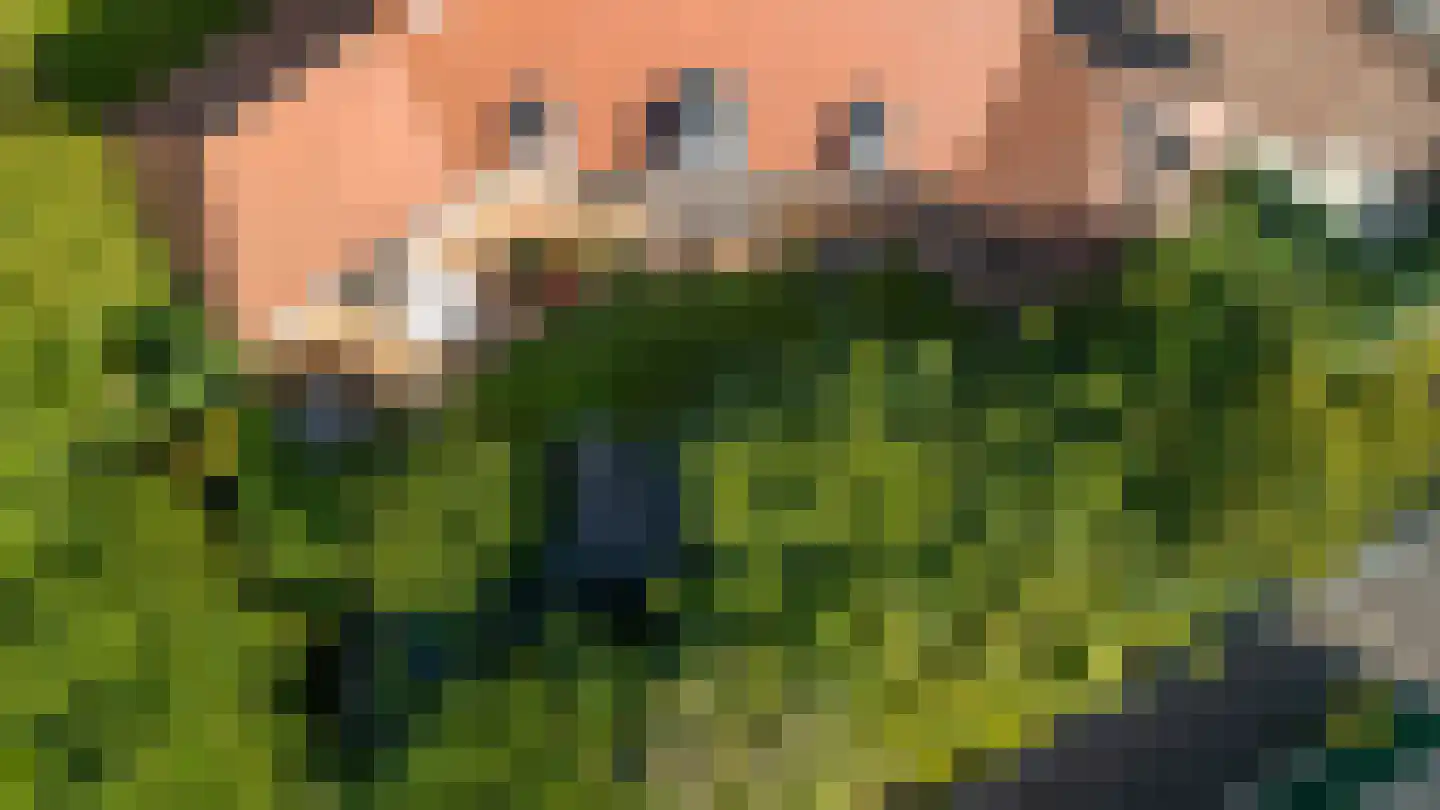 Kapelweg 23 Bergeijk thumbnail 7