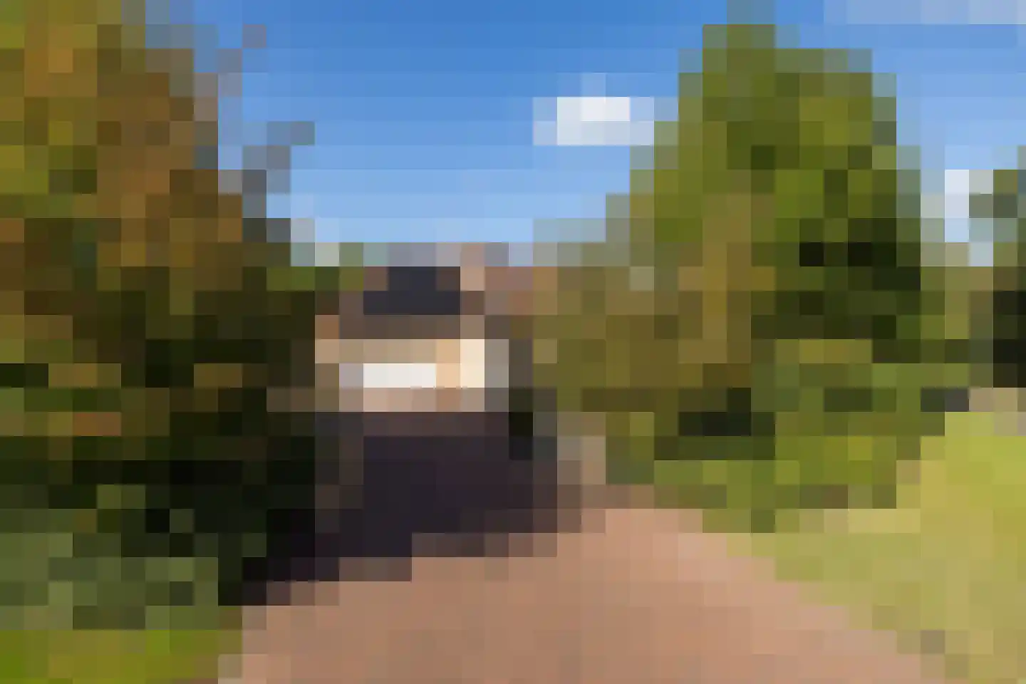 Kapelweg 23 Bergeijk thumbnail 72