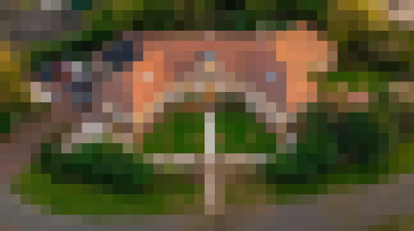 Kapelweg 23 Bergeijk thumbnail 74