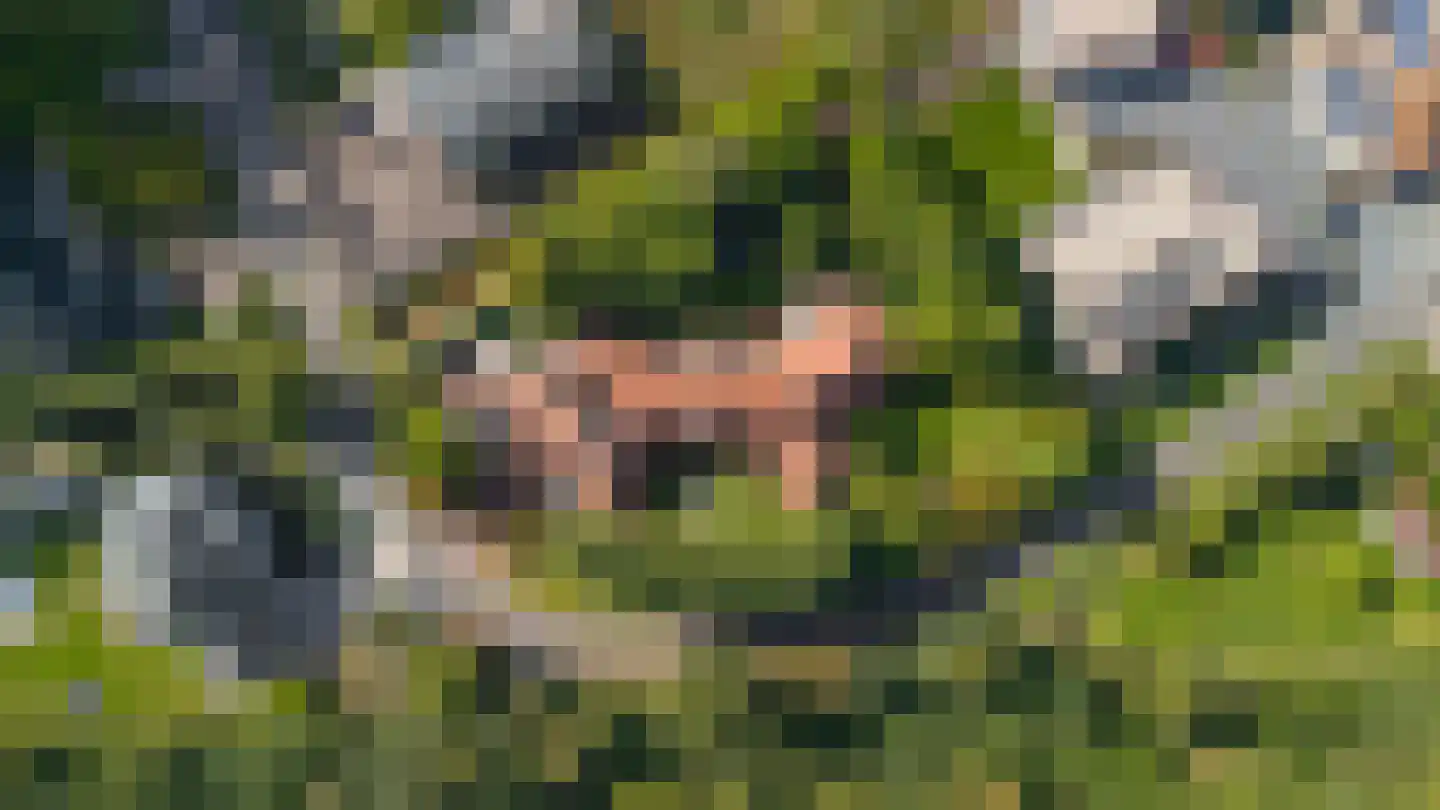 Kapelweg 23 Bergeijk thumbnail 8