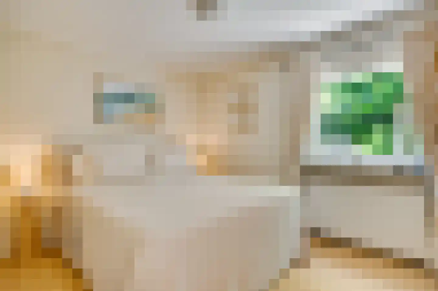 Kapelweg 25 Cadier en Keer thumbnail 13