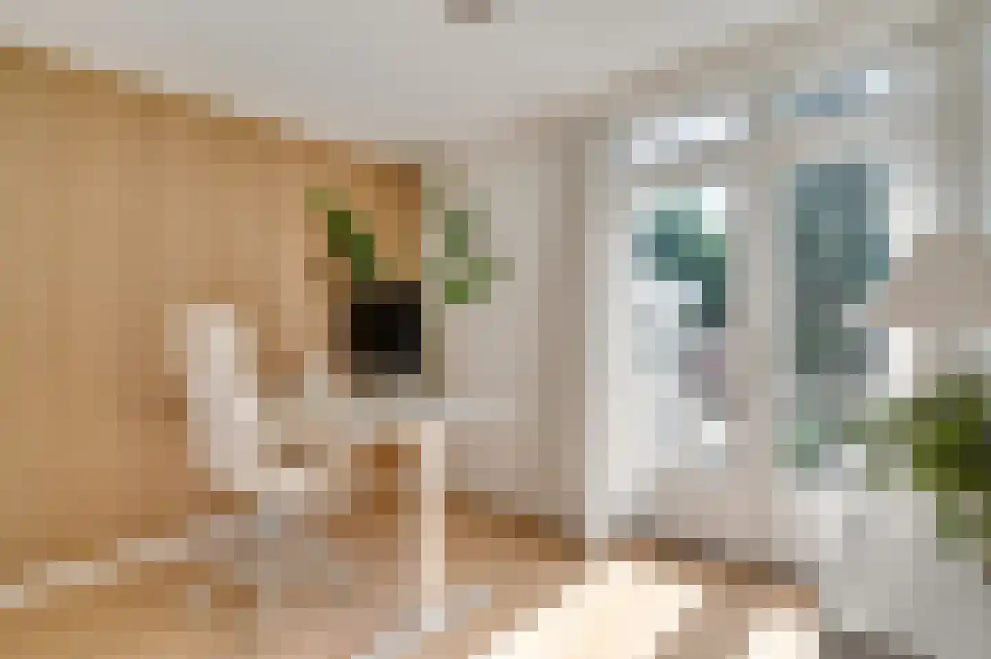 Kapelweg 25 Cadier en Keer thumbnail 14