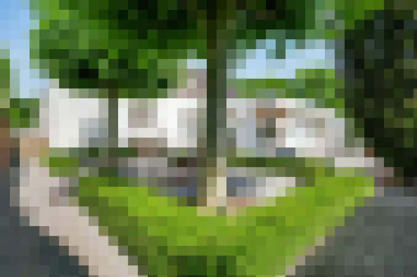 Kapelweg 25 Cadier en Keer thumbnail 25