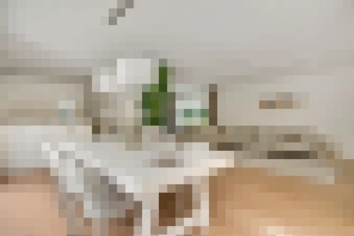 Kapelweg 25 Cadier en Keer thumbnail 8