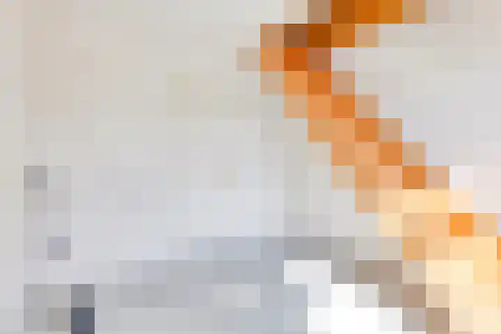 Kapelweg 28 Cadier en Keer thumbnail 20