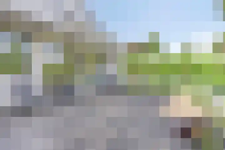 Kapelweg 28 Cadier en Keer thumbnail 29