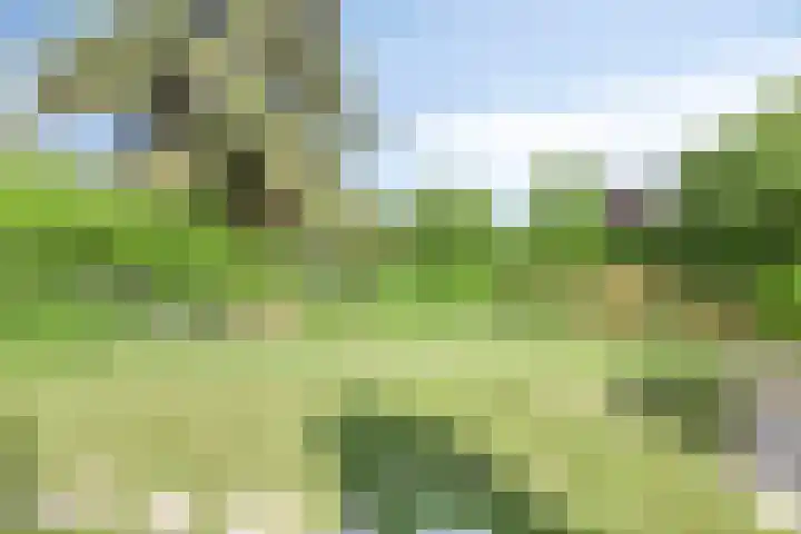 Kapelweg 28 Cadier en Keer thumbnail 30