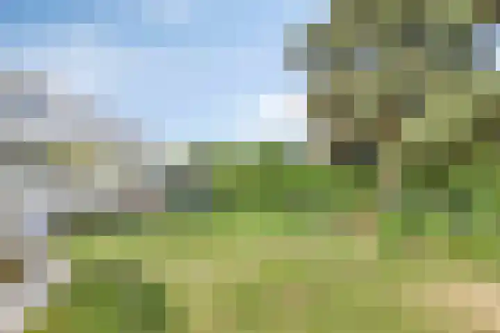 Kapelweg 28 Cadier en Keer thumbnail 31