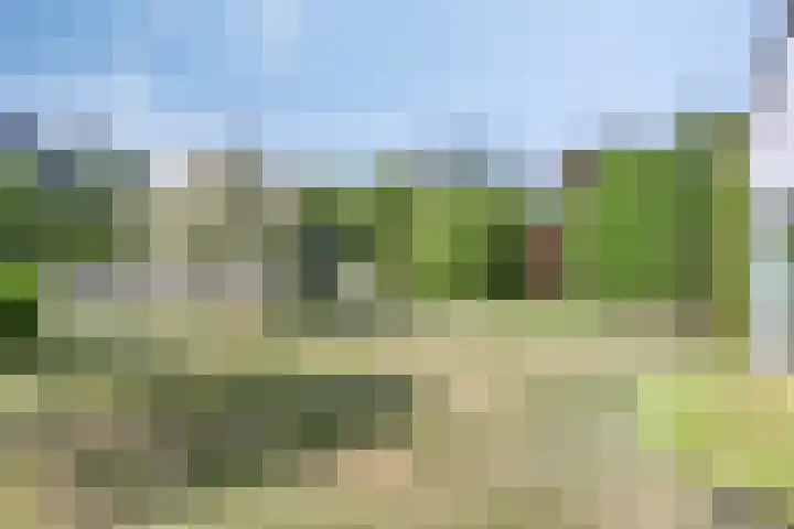 Kapelweg 28 Cadier en Keer thumbnail 5