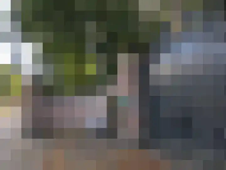Kapelweg 28 Doorn thumbnail 48