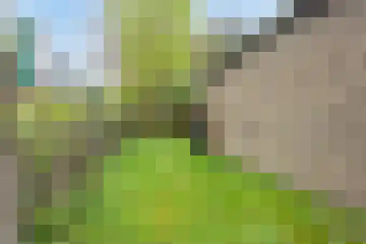 Kapelweg 28 Maarn thumbnail 23