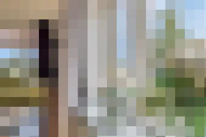 Kapelweg 28 Sinderen thumbnail 20
