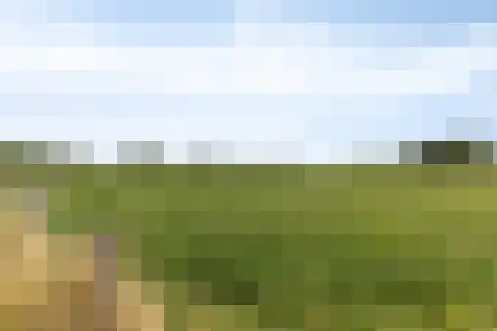 Kapelweg 28 Sinderen thumbnail 66