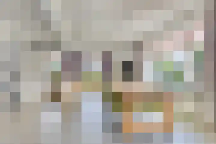 Kapelweg 28 Sinderen thumbnail 9