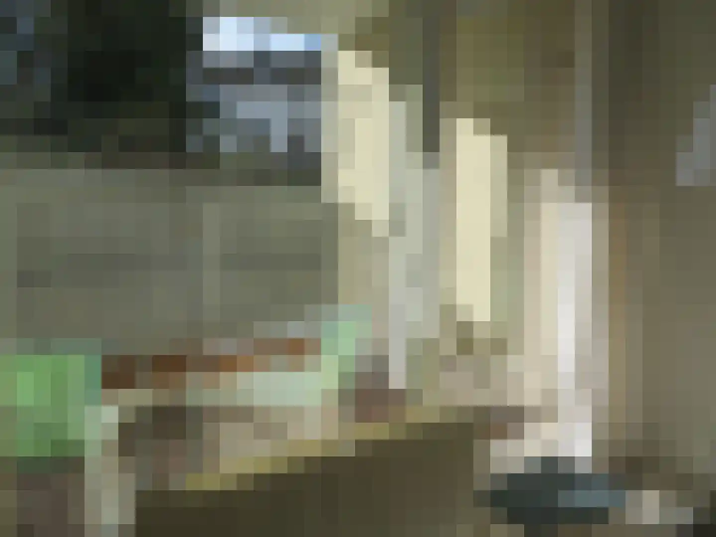 Kapelweg 3 C Maastricht thumbnail 7