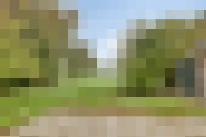 Kapelweg 30 Vragender thumbnail 38