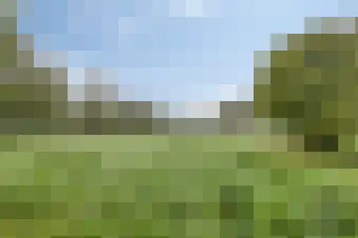 Kapelweg 30 Vragender thumbnail 41