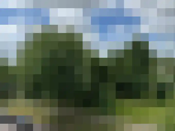 Kapelweg 32 Born thumbnail 21