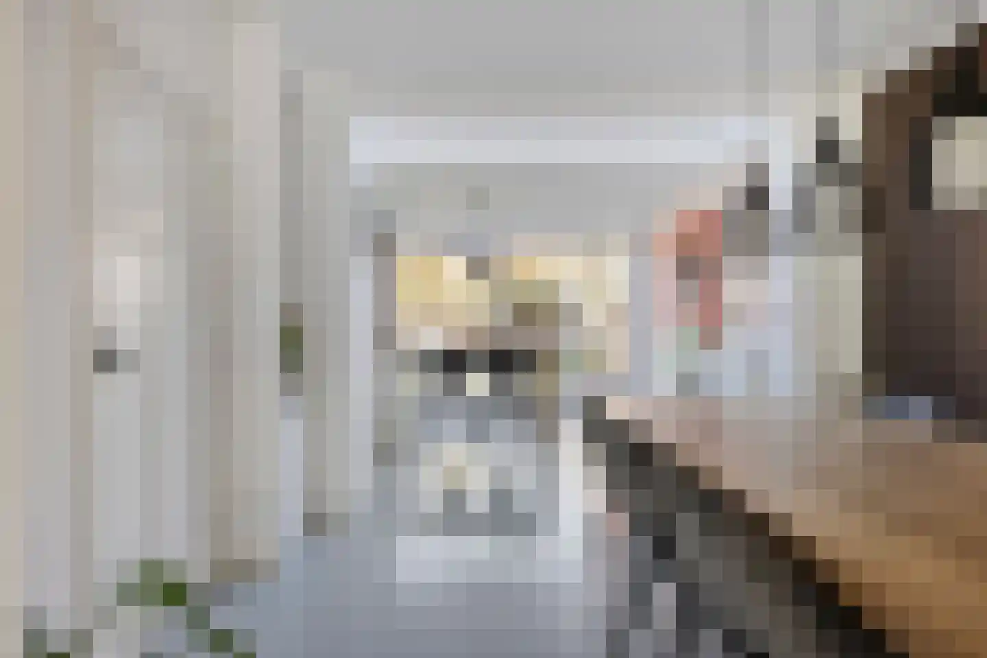 Kapelweg 32 Born thumbnail 9