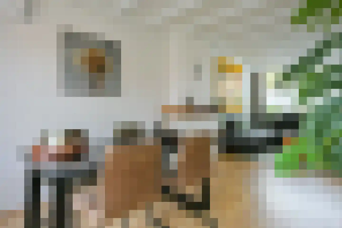 Kapelweg 34 Born thumbnail 19