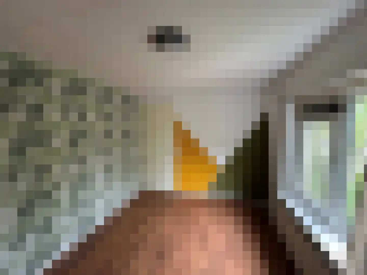 Kapelweg 39 Sinderen thumbnail 11