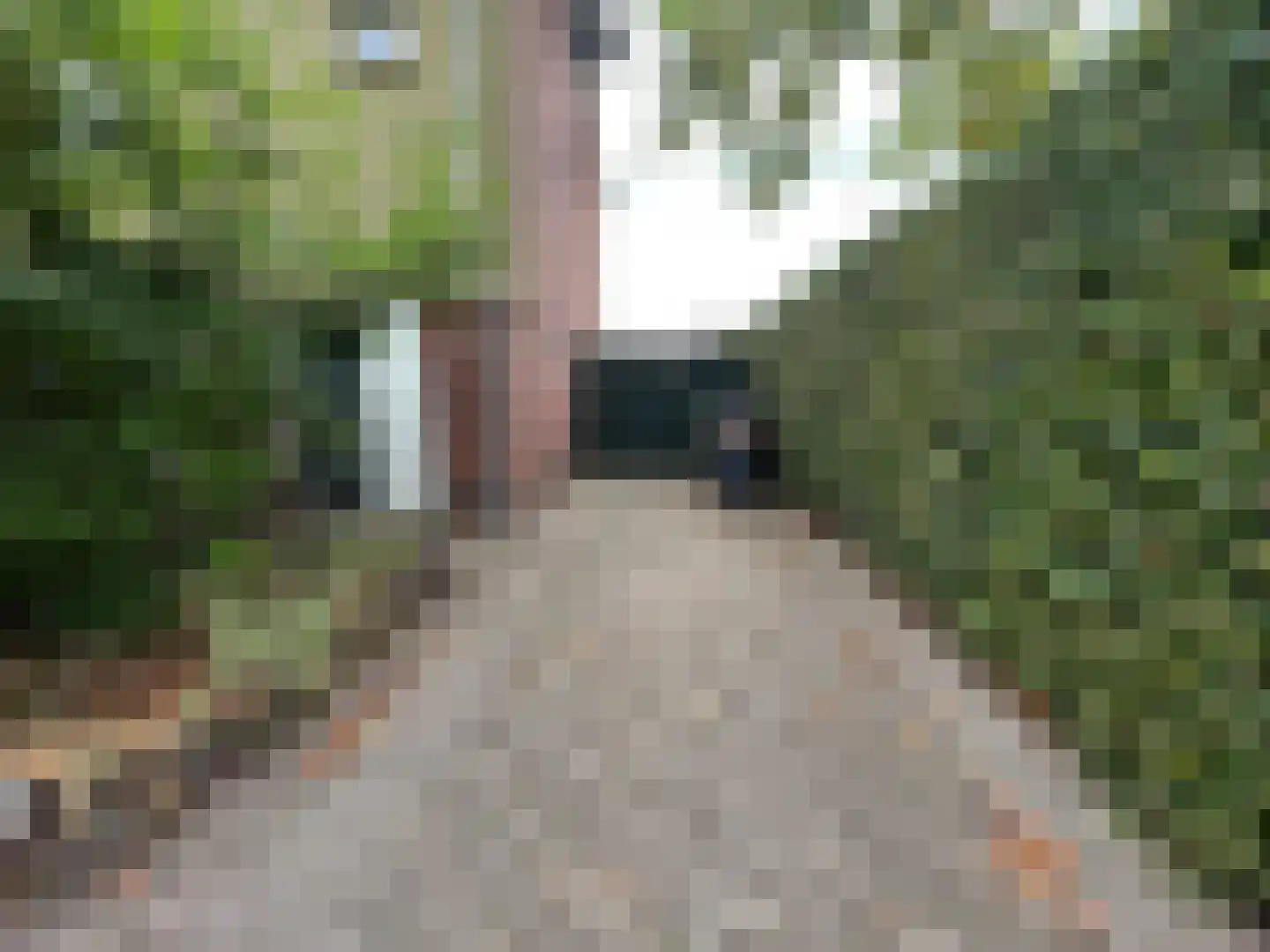 Kapelweg 39 Sinderen thumbnail 4
