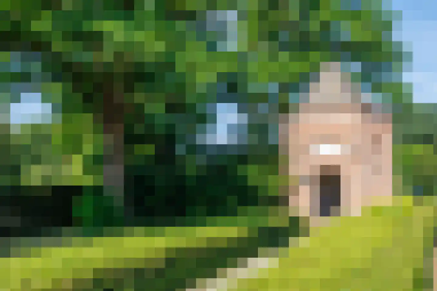 Kapelweg 4 a Zeeland thumbnail 37