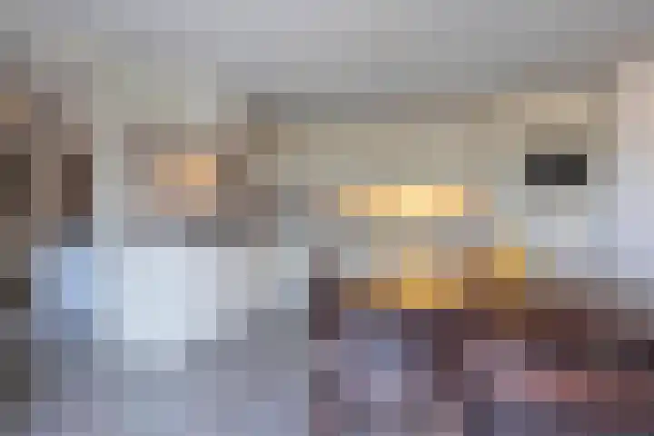 Kapelweg 4 Haaren thumbnail 14