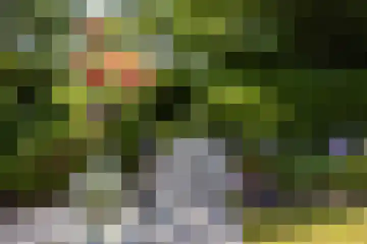 Kapelweg 4 Haaren thumbnail 31