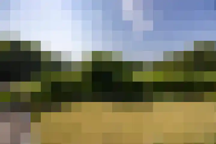 Kapelweg 4 Haaren thumbnail 42