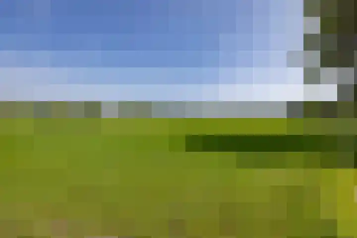Kapelweg 4 Haaren thumbnail 43