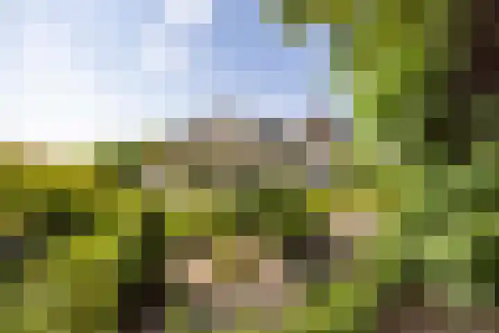 Kapelweg 4 Haaren thumbnail 44