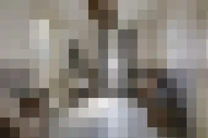 Kapelweg 4 Megchelen thumbnail 11
