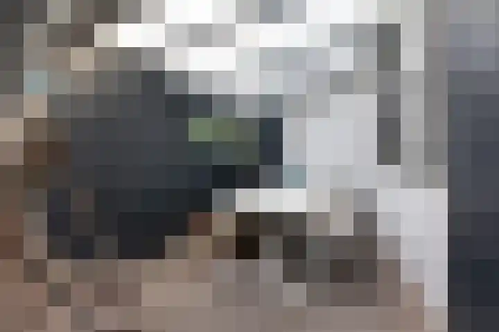 Kapelweg 4 Megchelen thumbnail 26