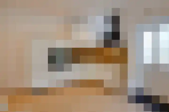 Kapelweg 4 Megchelen thumbnail 38