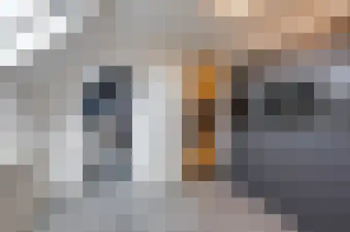 Kapelweg 4 Megchelen thumbnail 57