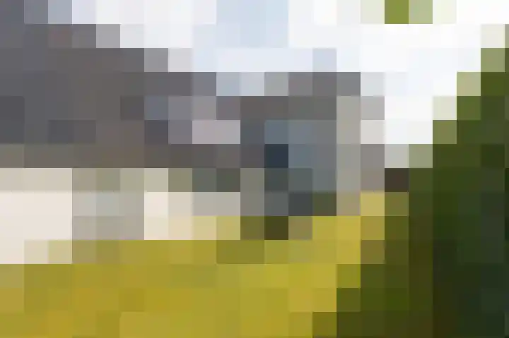 Kapelweg 4 Megchelen thumbnail 66