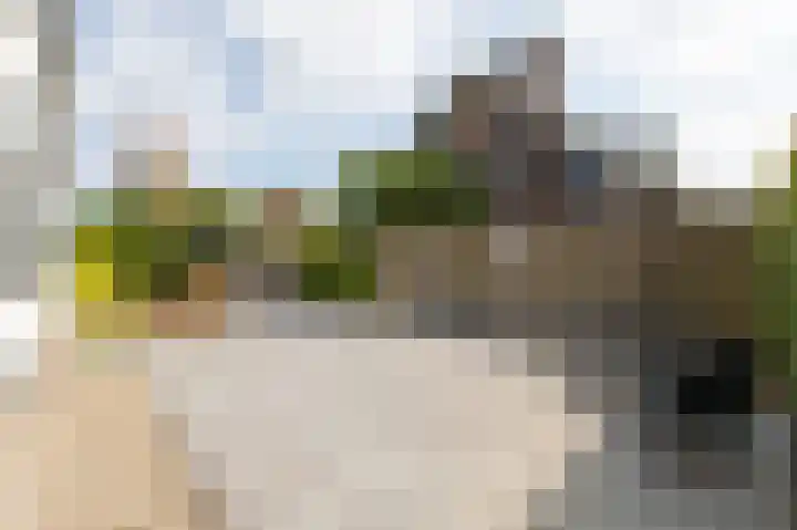 Kapelweg 4 Megchelen thumbnail 67