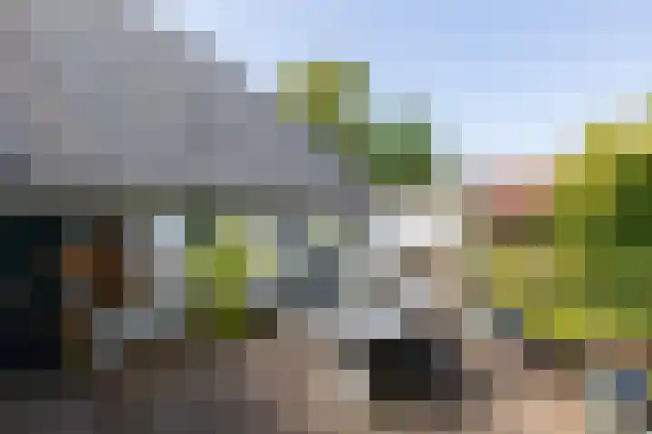 Kapelweg 4 Megchelen thumbnail 77