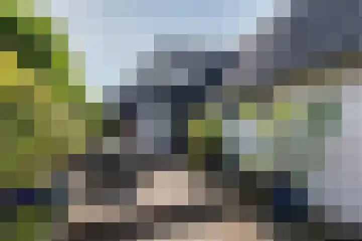 Kapelweg 4 Megchelen thumbnail 80