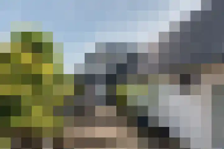 Kapelweg 4 Megchelen thumbnail 81