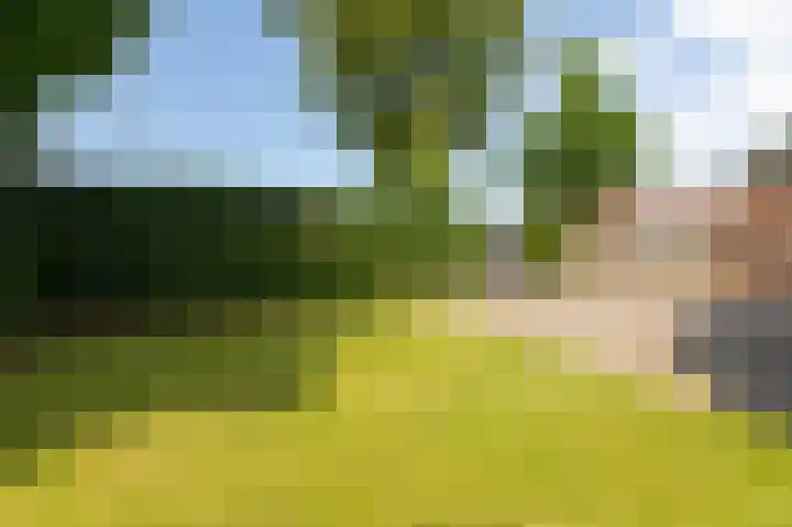 Kapelweg 4 Megchelen thumbnail 82