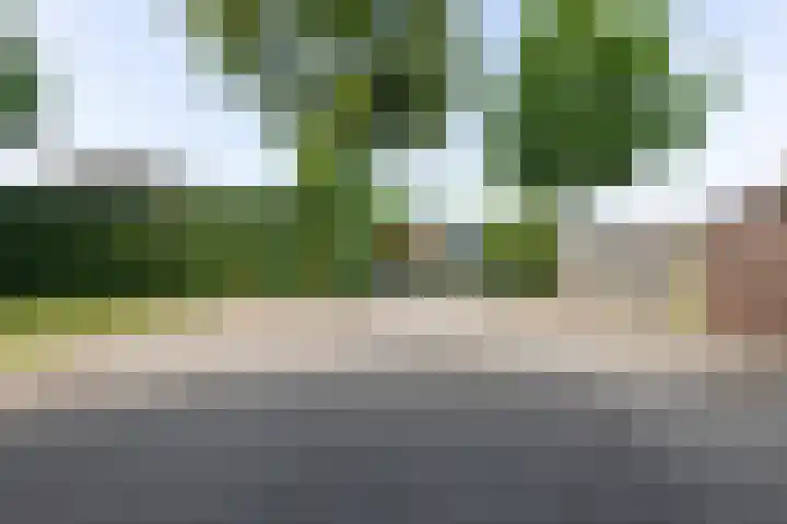 Kapelweg 4 Megchelen thumbnail 83