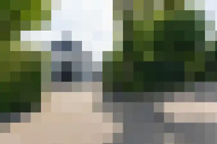Kapelweg 4 Megchelen thumbnail 84