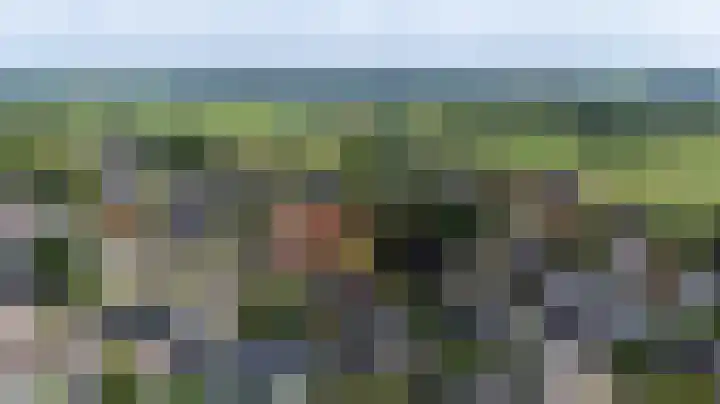 Kapelweg 4 Megchelen thumbnail 90