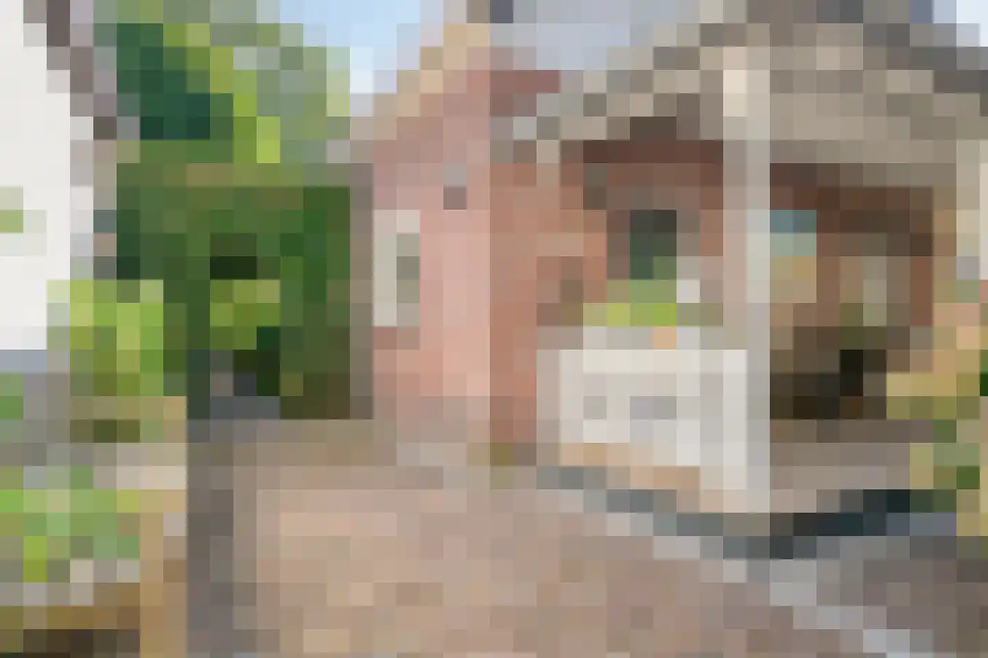 Kapelweg 44 a Maarn thumbnail 28