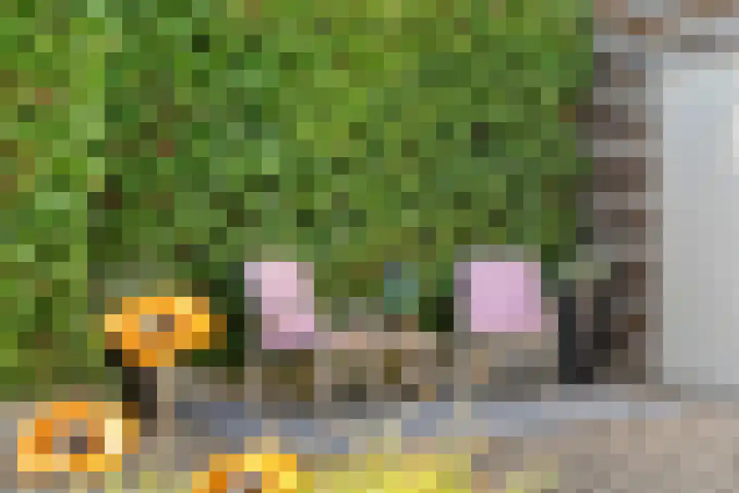 Kapelweg 44 a Maarn thumbnail 30