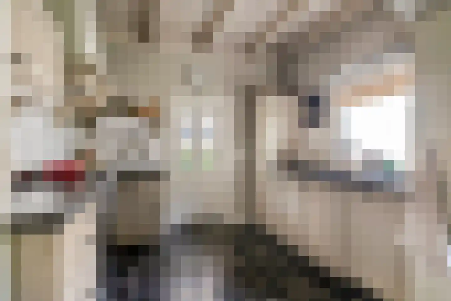Kapelweg 44 a Maarn thumbnail 4