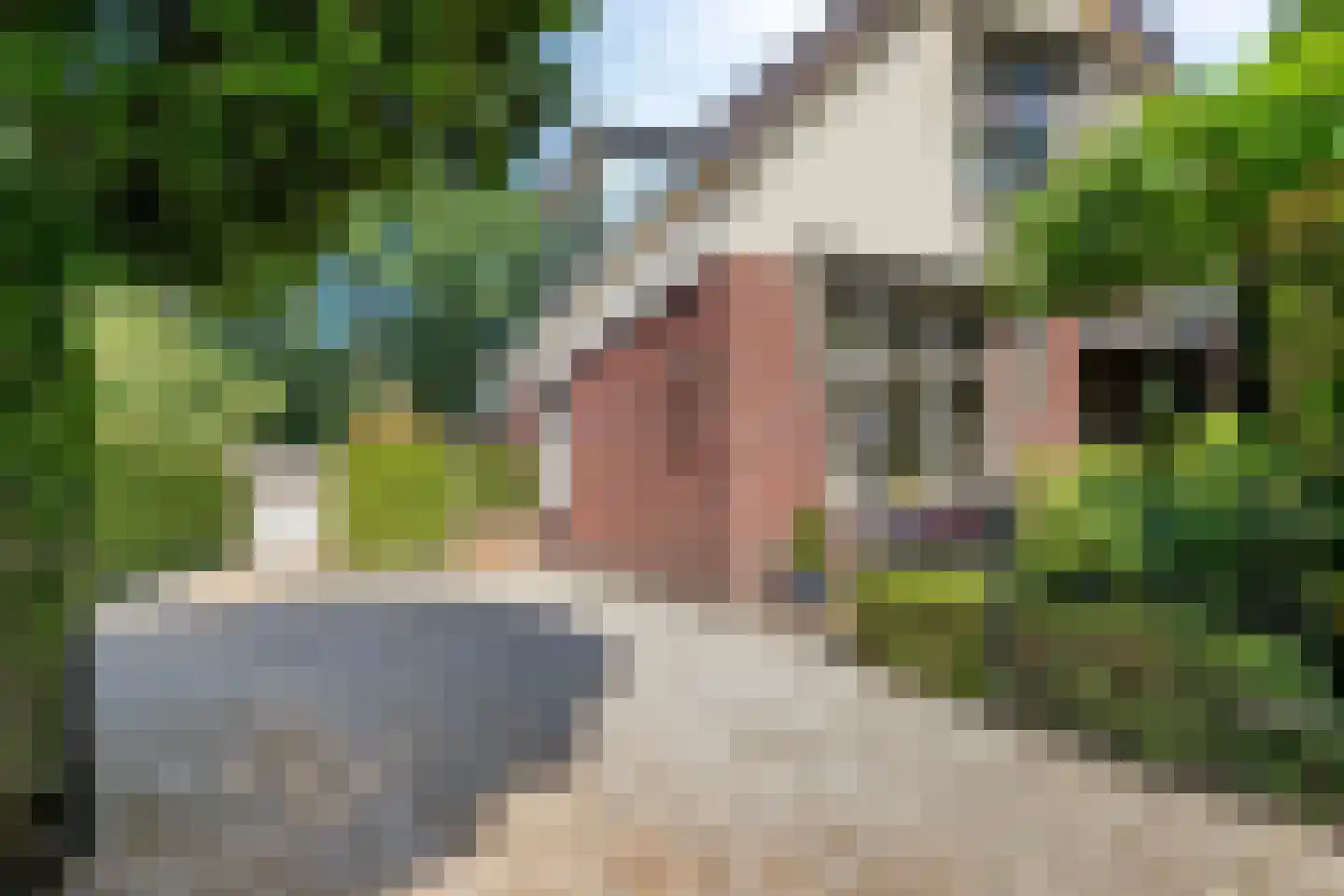 Kapelweg 44 a Maarn thumbnail 40