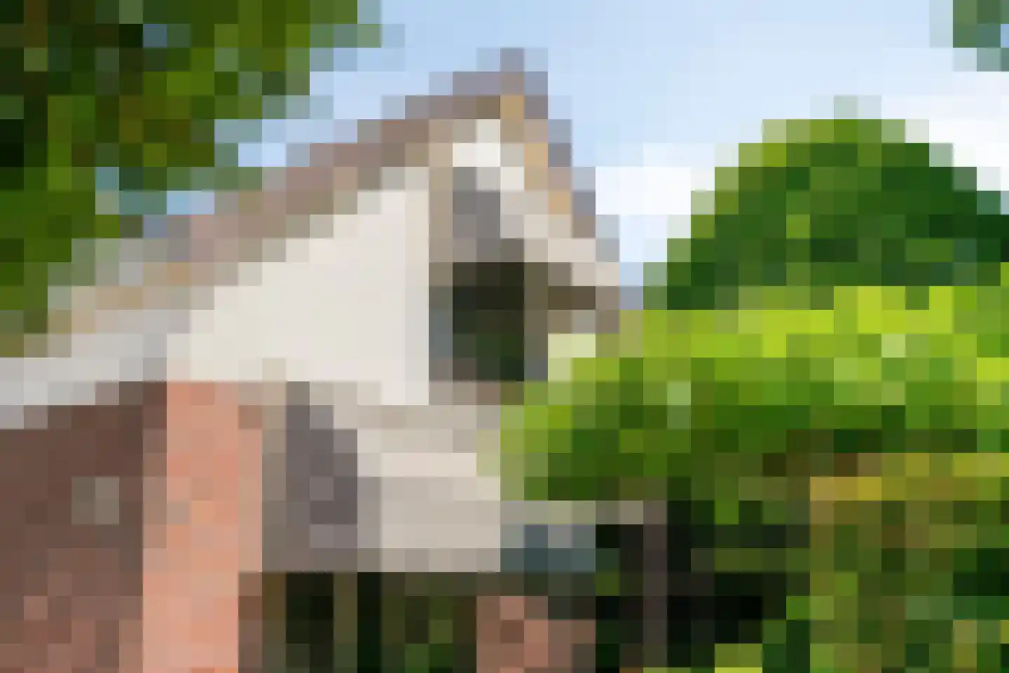 Kapelweg 44 a Maarn thumbnail 41
